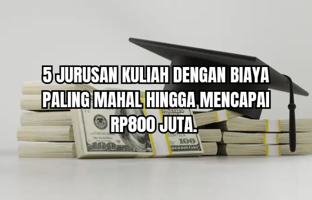 5 Jurusan Kuliah dengan Biaya Paling Mahal Hingga Mencapai Rp800 Juta, Jurusanmu Termasuk?