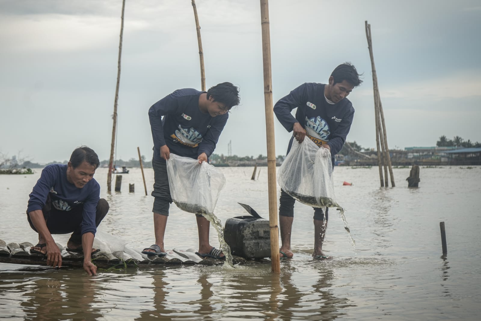 Bentuk Syukur Panen Melimpah, Pokdakan Binaan Kilang Pertamina Plaju Melepas Ratusan Ikan ke Sungai Musi