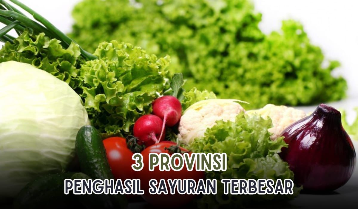 3 Provinsi Penghasil Sayuran Terbesar di Indonesia, Ratusan Ribu Ton Sayur Berasal dari Daerah Ini, Penasaran?