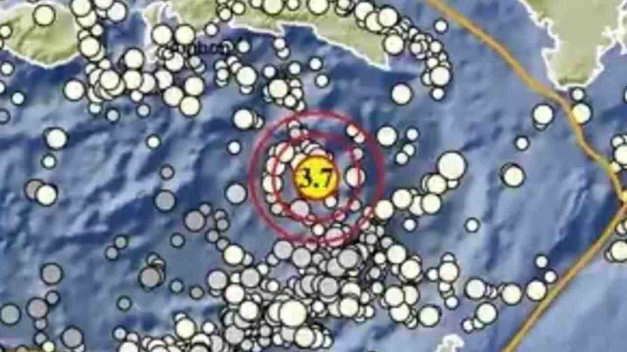 Gempa Magnitudo 3.7 Guncang Seram Bagian Timur, Disini Titik Episentrumnya