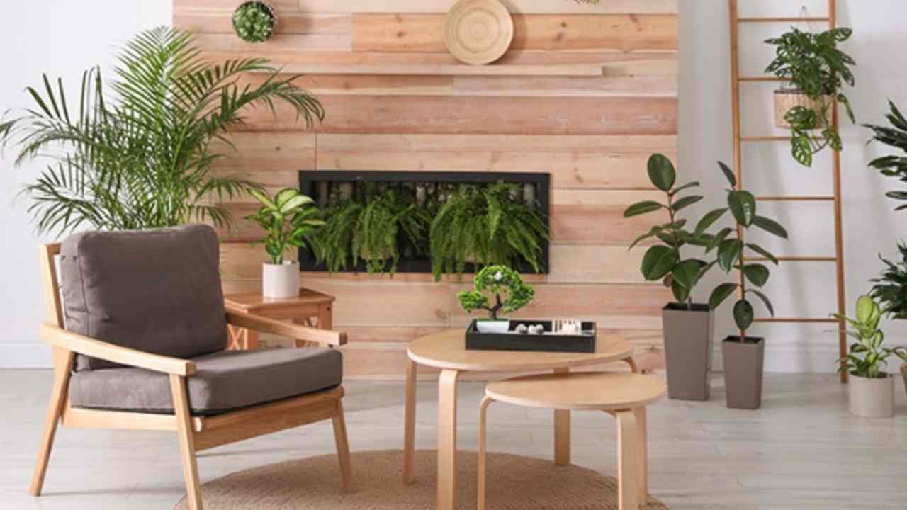 Rumah Sempit Jadi Super Estetik! 5 Ide Dekorasi Tanaman Hias Ini Wajib Dicoba