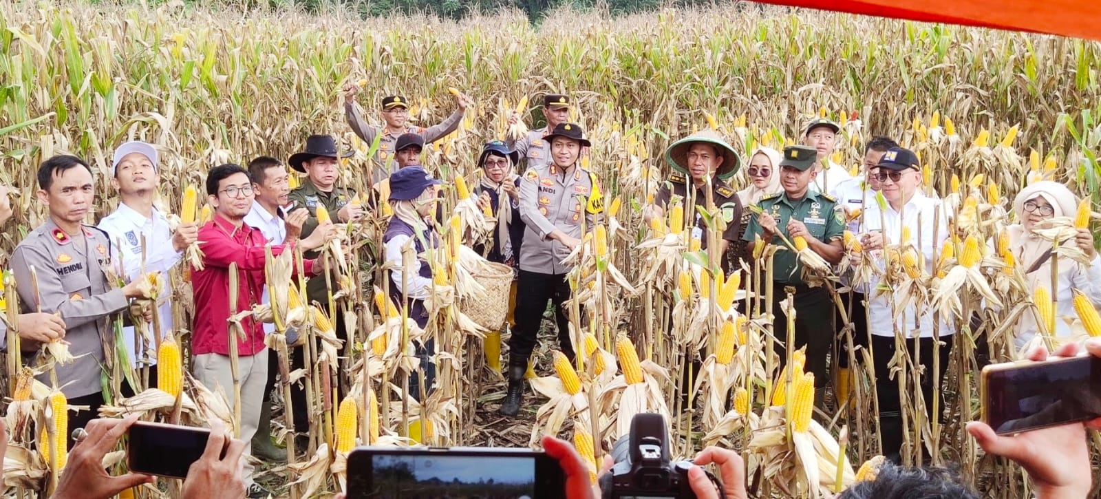 Kapolres Musi Rawas Bersama Stakeholders Gelar Panen Raya Jagung Serentak Tahap I di Desa Air Satan 