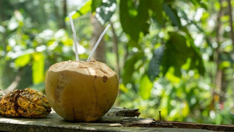 Ini Dia 5 Khasiat buah Kelapa untuk Kehamilan, Dijamin Bikin Janin Sehat