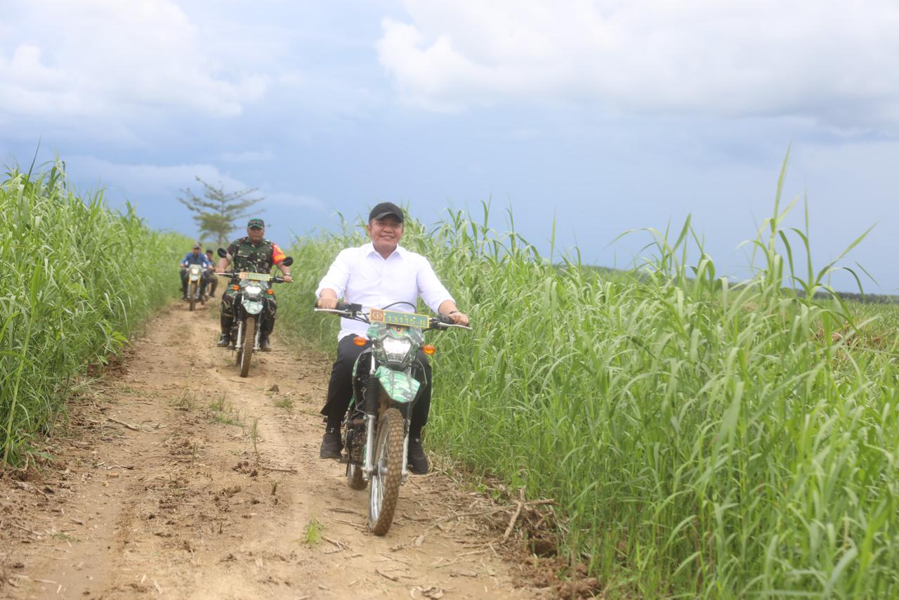 OKI jadi Andalan Program Cetak Sawah, Sumsel Perkuat Peran Sebagai Lumbung Pangan Nasional