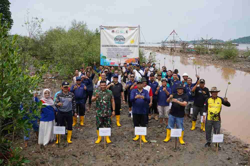 Ikut Tanam 50.000 Bibit Mangrove di Kawasan Ekowisata Cuku Nyi Nyi, Ini Harapan dari PTBA