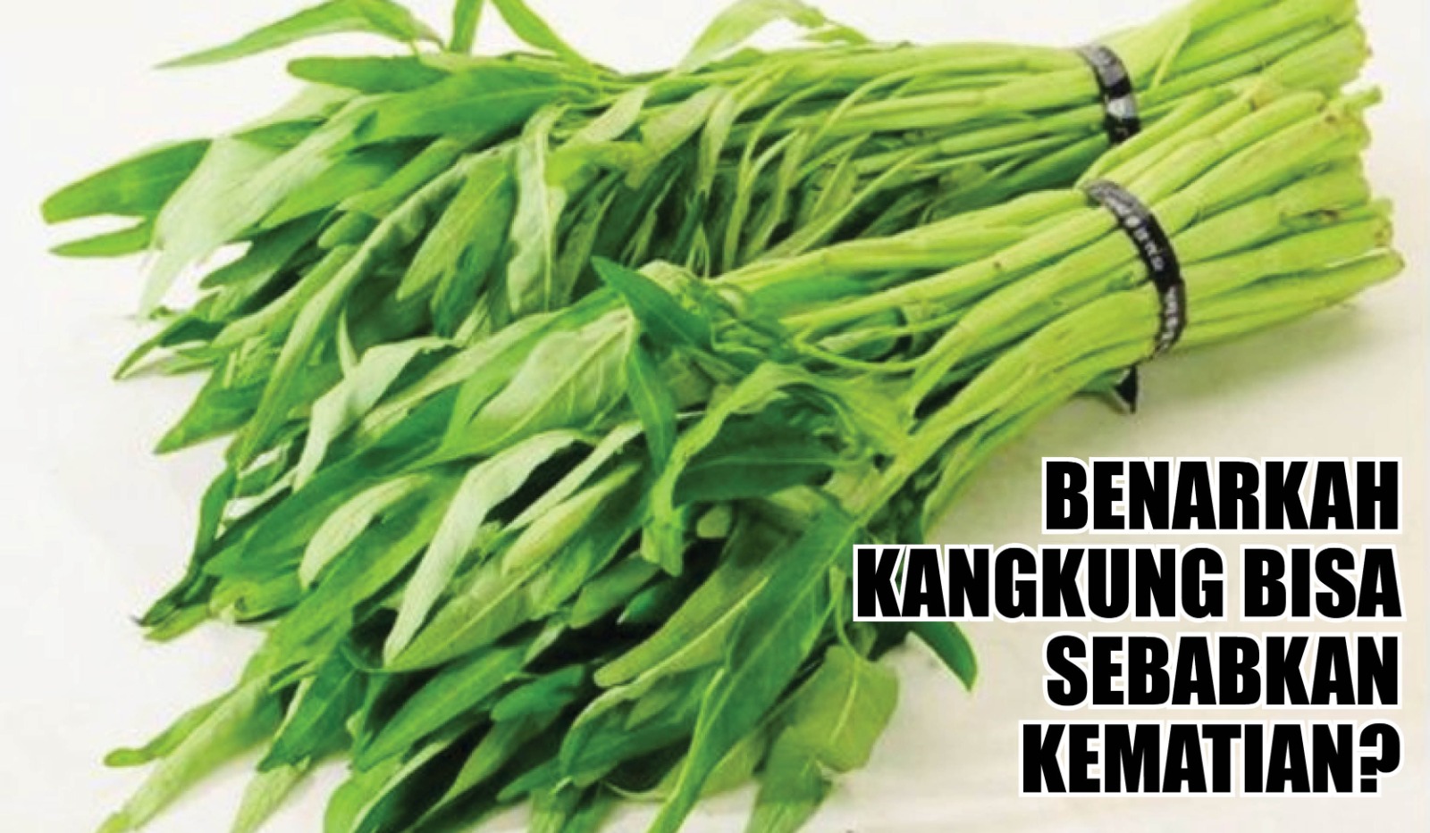 Emang Iya, Kangkung Bisa Sebabkan Kematian? Cek Faktanya di Sini!