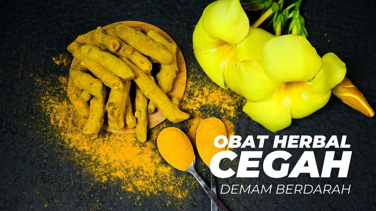 Penyakit Demam Berdarah Meningkatkan, 5 Herbal Ini Dipercaya Dapat Membantu Kamu Memeranginya!