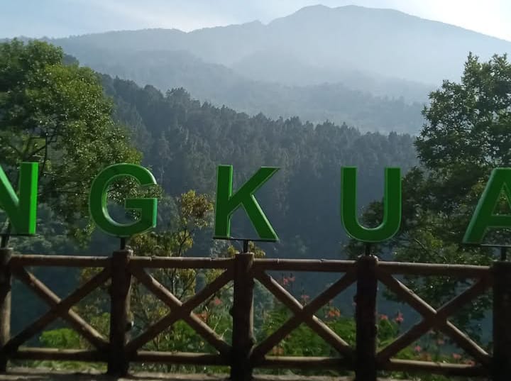 Wisata Hits di Bogor Pas Buat Habiskan Waktu Bersama Orang Tercinta, Murah Cuma Modal Bensin Aja!