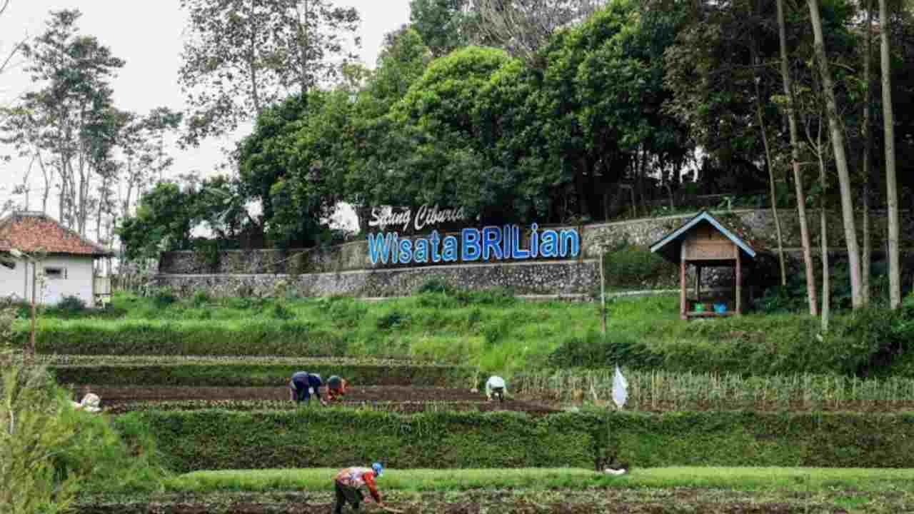 Jangkau 5.245 Desa BRILiaN, BRI Perluas Dukungan bagi Pengembangan Ekonomi Desa