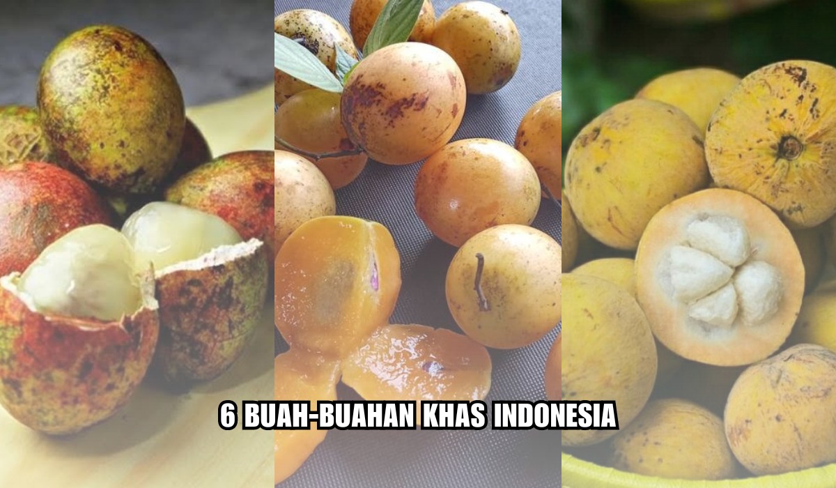 6 Buah-buahan Khas Indonesia yang Tidak Dijumpai di Negara Lain, Ada Matoa Hingga Gandaria