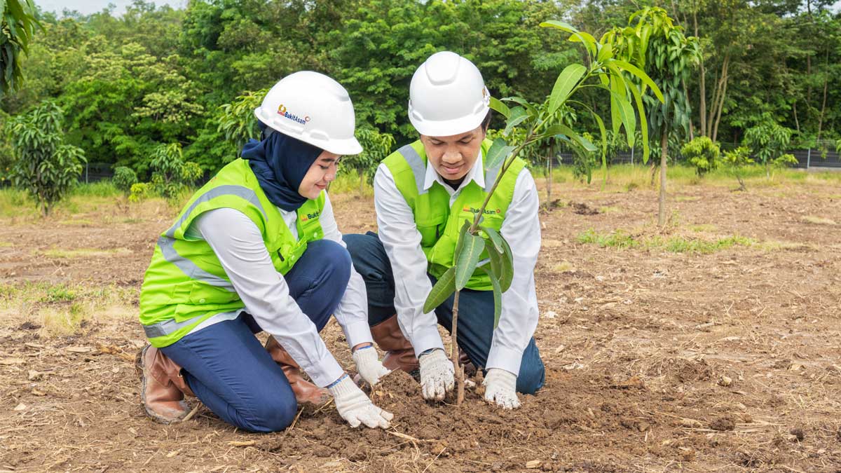 PTBA Berkomitmen pada Good Mining Practice, Menjadi Contoh Industri Pertambangan yang Berkelanjutan