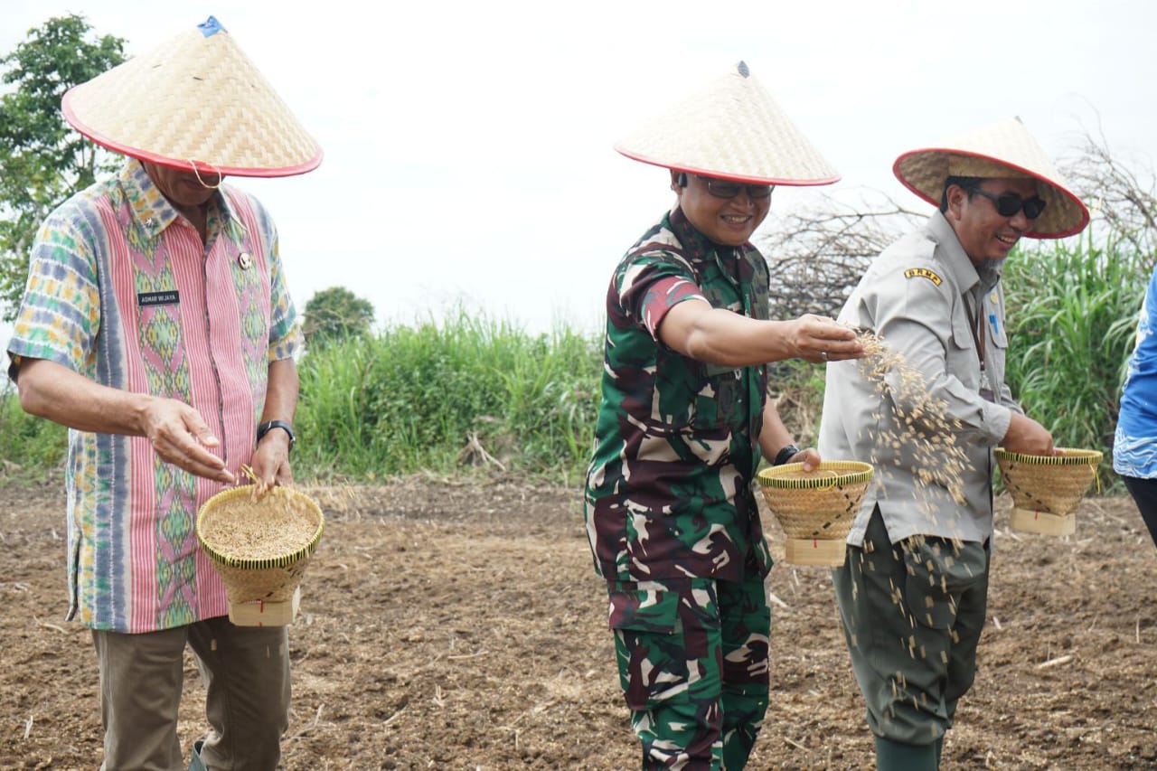 TNI Turun ke Sawah! Kodim 0402/OKI-OI Tanam Padi Perdana Program Cetak Sawah di Benawa