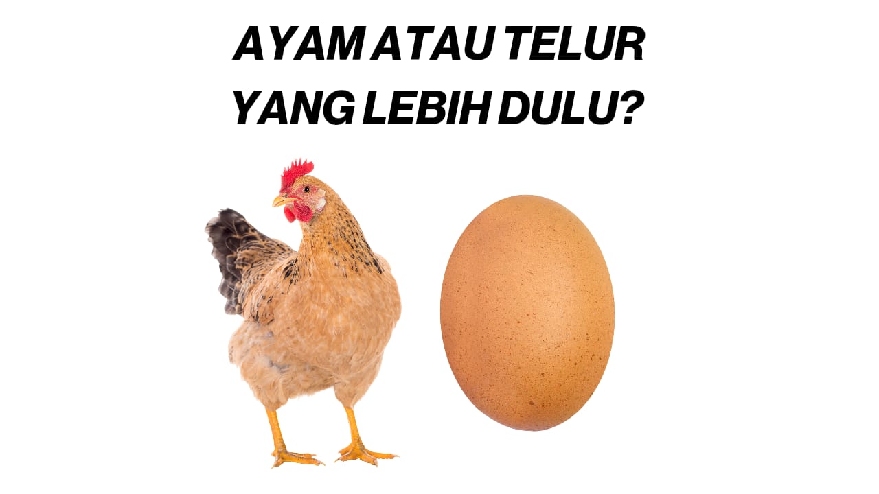 Coba Tebak, Ayam atau Telur yang lebih Dulu? Ini Jawaban Cerdas Abu Nawas! 