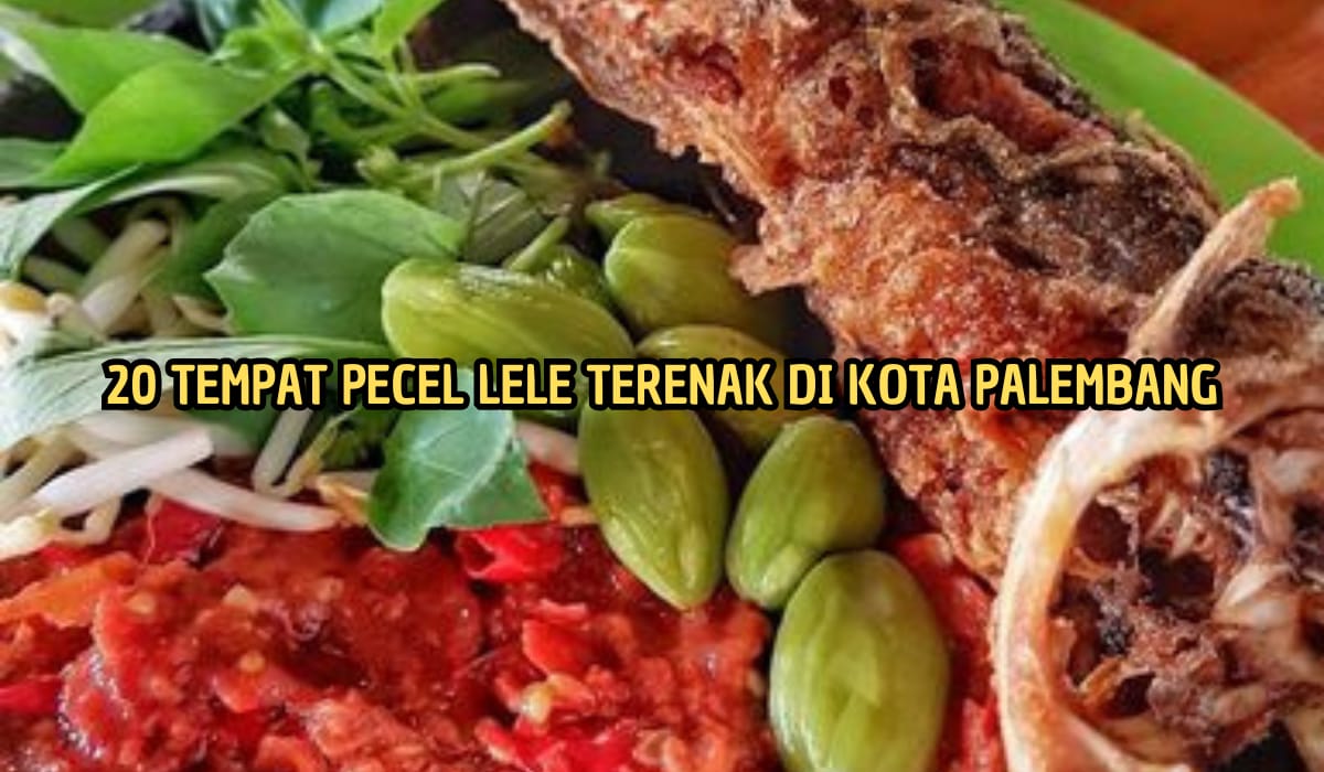 Pedasnya Sambal Tomat Terasi Bikin Ngiler! Ini 20 Tempat Makan Pecel Lele Enak di Palembang, Mau Coba?