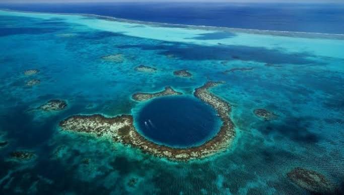 PENUH MISTERI! Ini 6 Fakta Unik Palung Mariana yang Wajib Kamu Tahu! Banyak Ikan dengan Bentuk Aneh