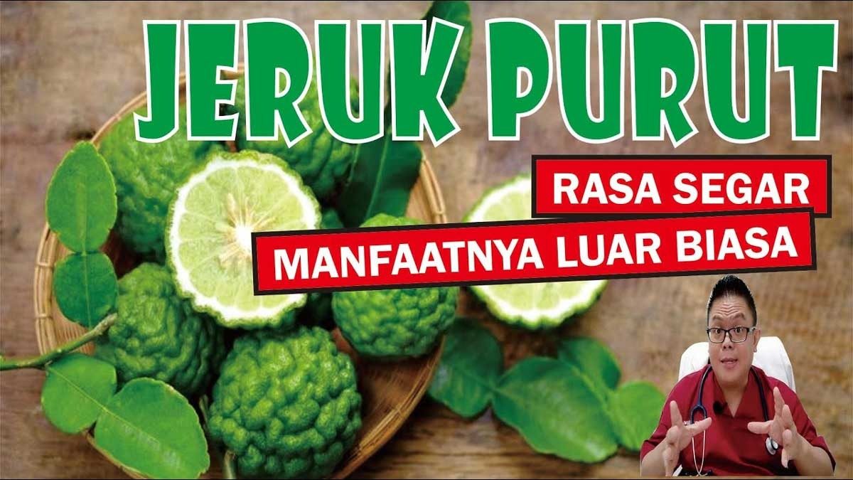 5 Manfaat Jeruk Purut yang Wajib Diketahui, Selain Dikenal Buah ‘Mistis’, Ternyata Rasa Segar Bisa Bikin