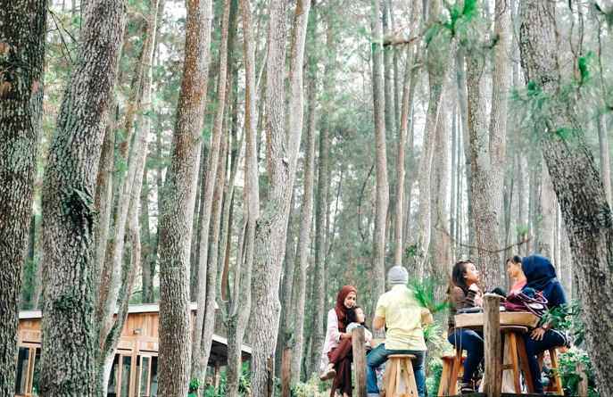 GILA! Warung Kopi Ini Buka 24 Jam di Tengah Hutan Pegunungan Mojokerto, Siapa Mau Beli?