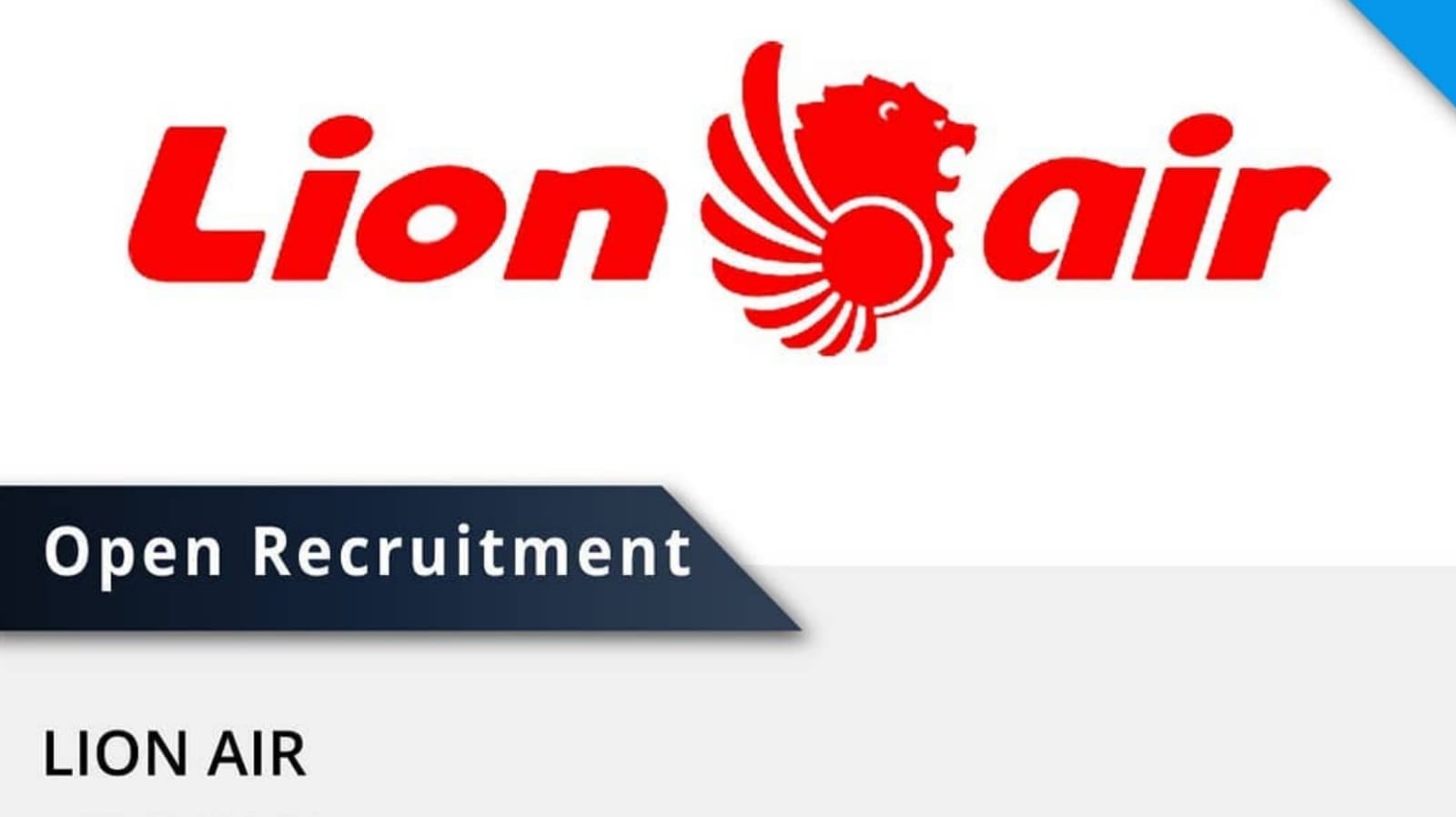 Lowongan Kerja Terbaru Maskapai Penerbangan Indonesia, PT Lion Mentari Airlines (Lion Air) Ada 2 Posisi 