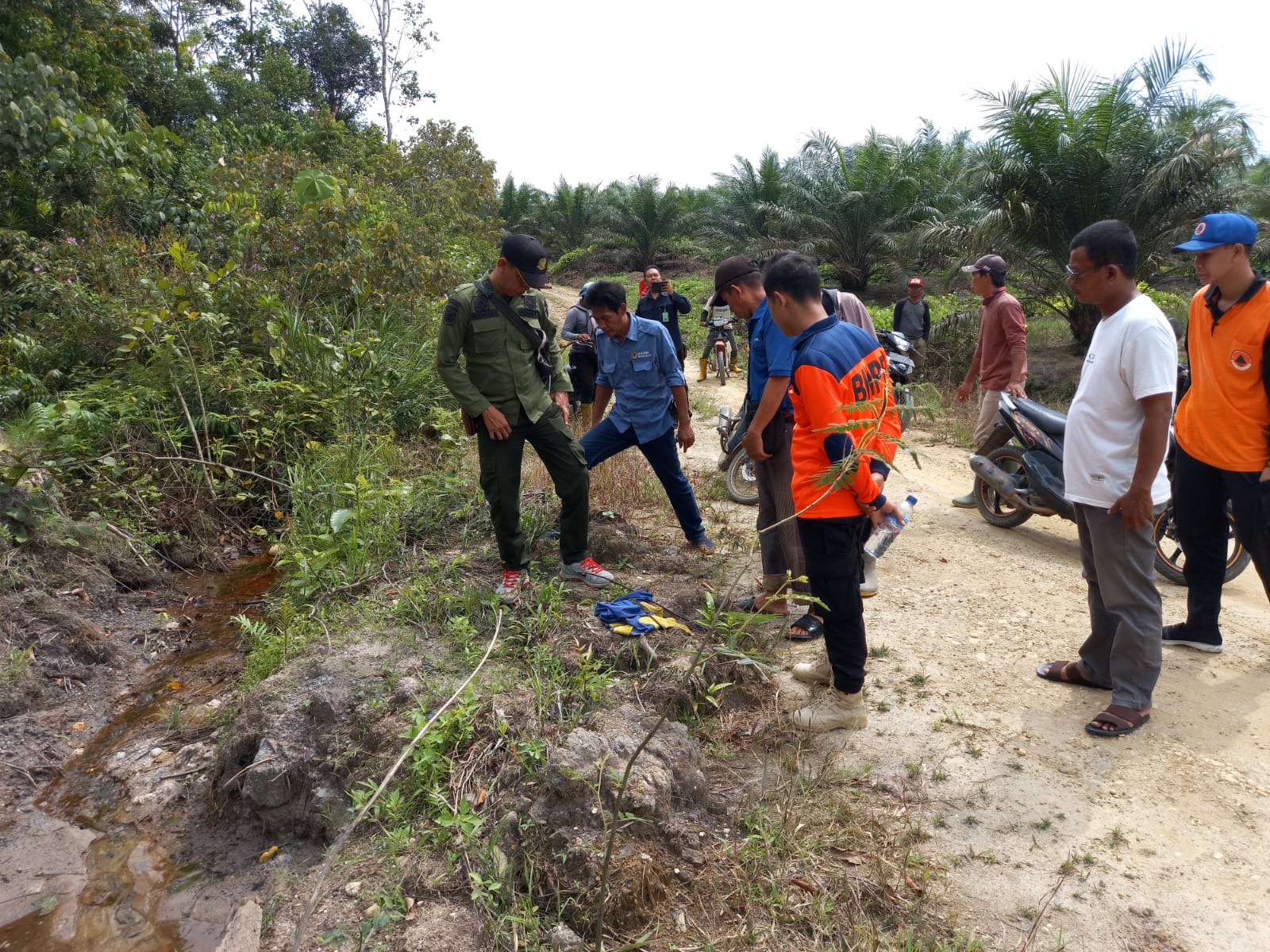 Turun ke Lokasi Temuan Kaki Harimau di Muratara, Tim BKSDA Sumsel Sebut Hewan ini Milik Jejak Kaki