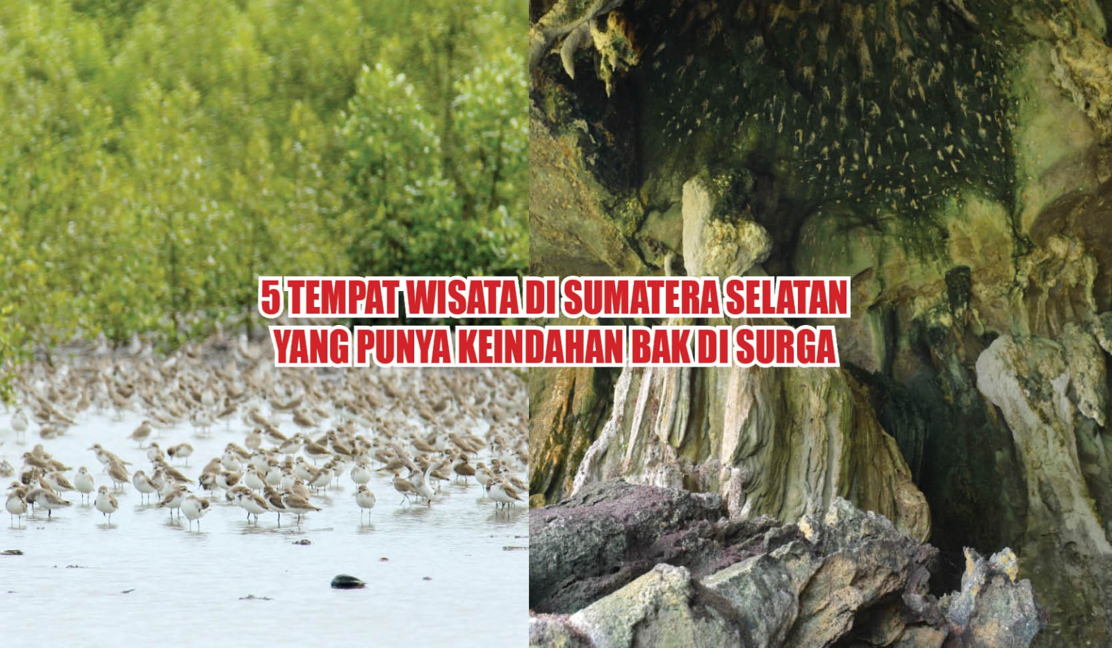 Jarang Dikunjungi! Ini 5 Tempat Wisata di Sumatera Selatan yang Punya Keindahan Bak di Surga