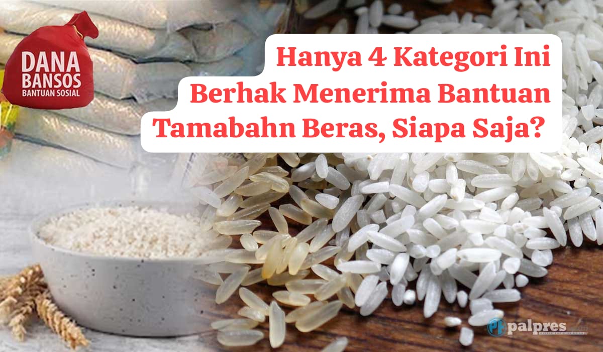 Hanya 4 Kategori Ini yang Berhak Menerima Bantuan Tambahan Berupa 30 Kg Beras dari Pemerintah, Siapa Saja?