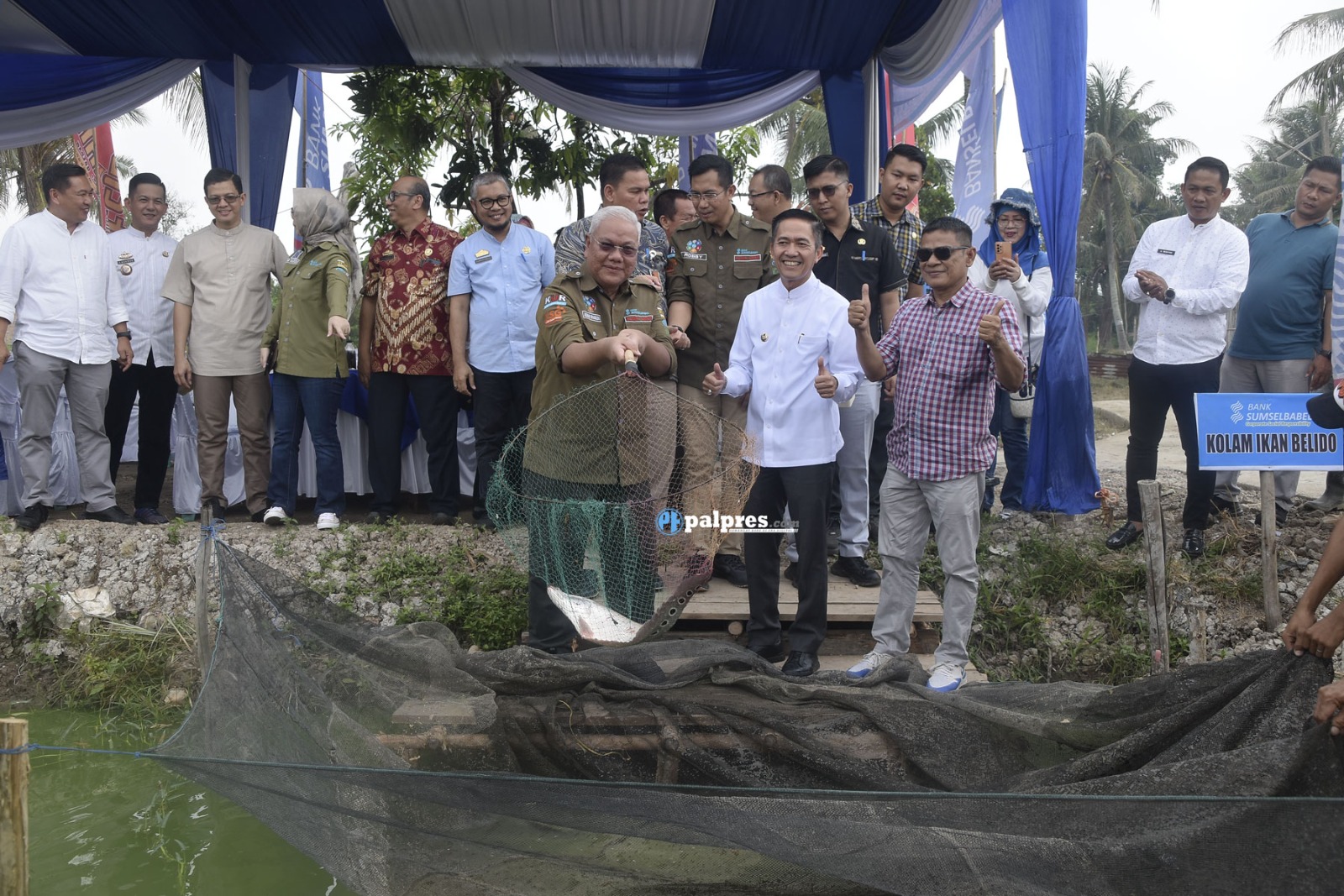 Bank Sumsel Babel Bersama Pemkot Palembang Sinergi Lestarikan Ikan Belida 