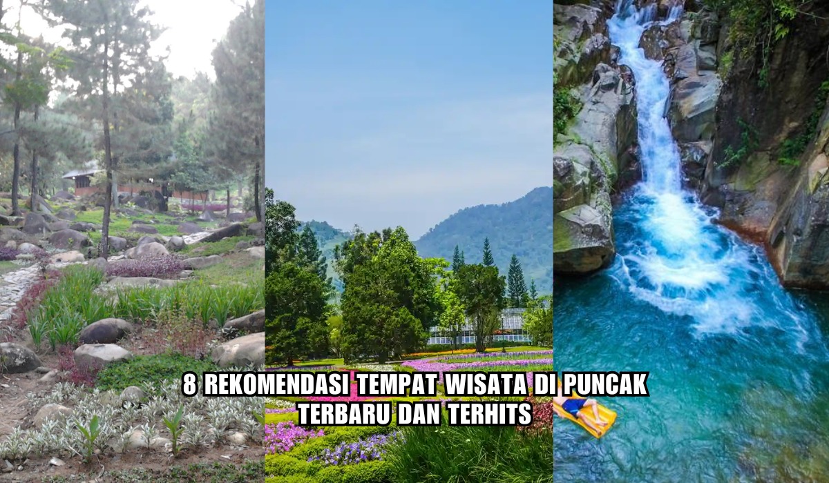 8 Rekomendasi Tempat Wisata di Puncak Terbaru dan Terhits, Cocok Buat Liburan Akhir Tahun Bareng Bestie