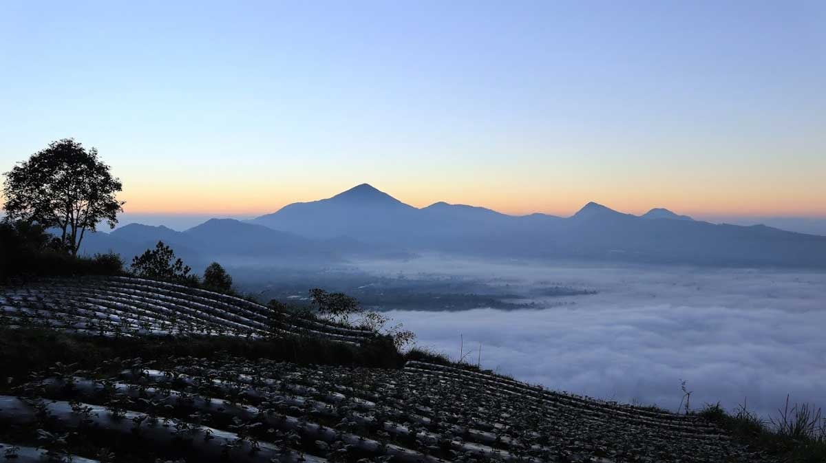 Gunung Putri Lembang: Cocok Untuk Pendaki Pemula, Cantiknya Gak Ada Obat!