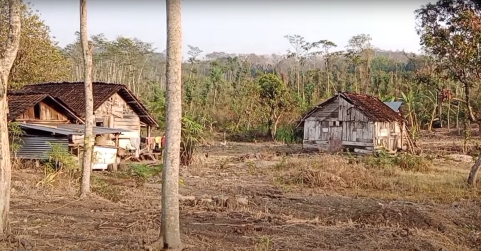 SERAM! Kampung Mati di Kabupaten Temanggung, Penghuninya Hanya 2 KK, Hidup Terisolir di Tengah Hutan 