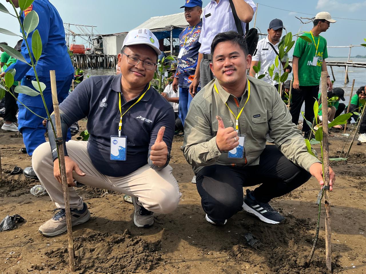 PHE ONWJ Tanam 5.000 Bibit Mangrove di Pesisir Utara Jawa