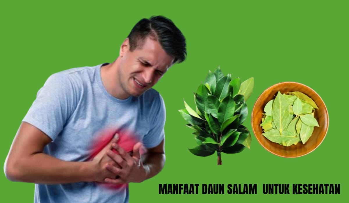 5 Manfaat Daun Salam untuk Kesehatan, Nomor 4 Bisa Membantu Atasi Stres