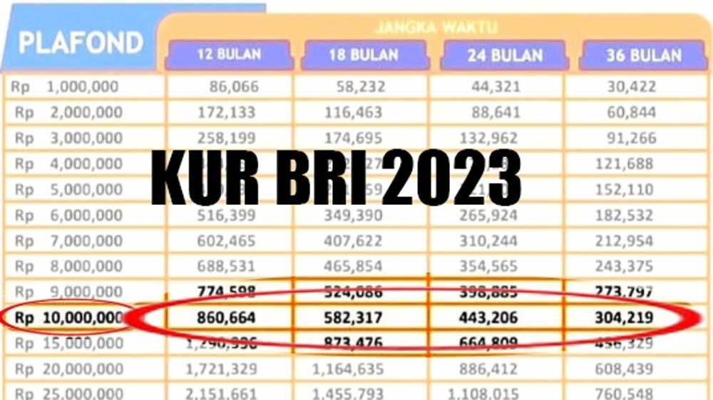 Butuh Modal Rp100 Juta, Ini Cara Pengajuan KUR BRI 2023, Simak Syarat dan Ketentuan Bunganya