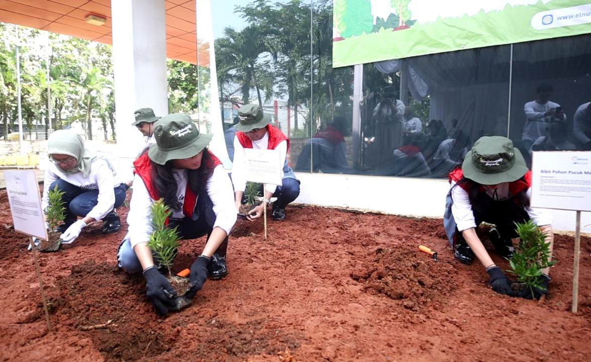 Elnusa Tanam 1.000 Pohon di Seluruh Wilayah Operasi