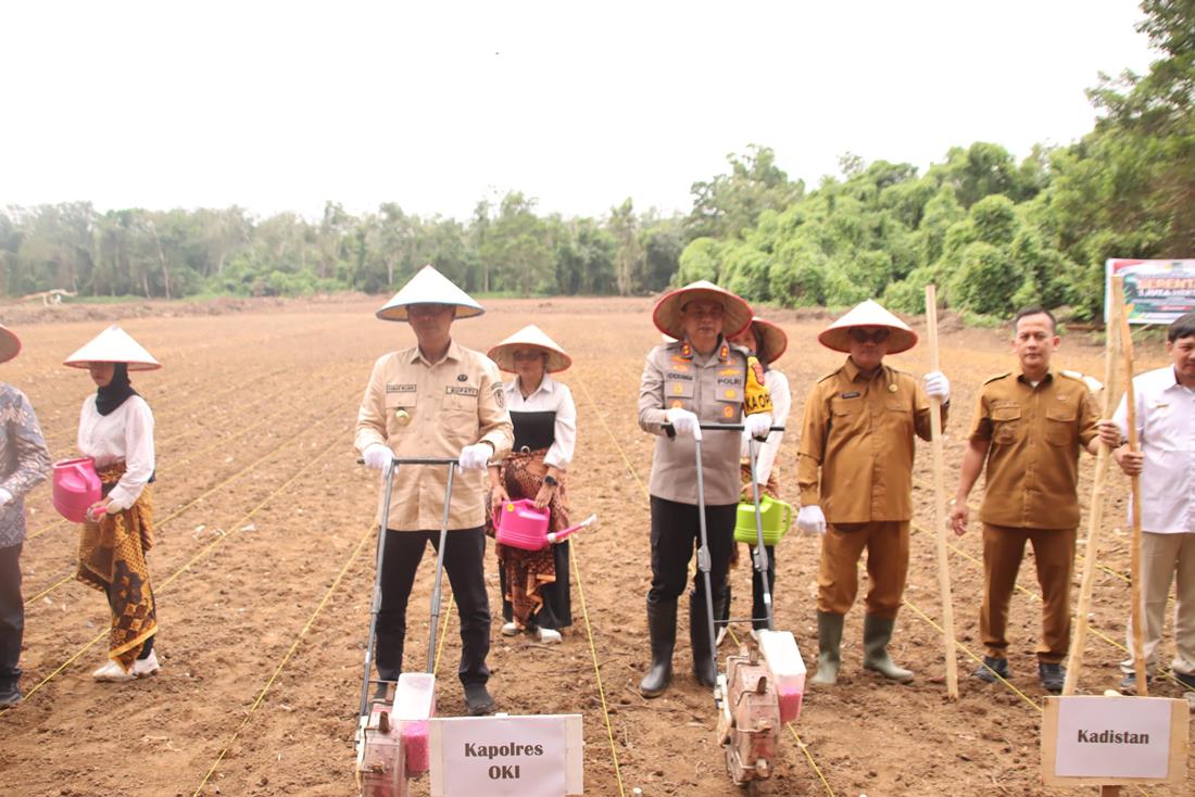 Pj Bupati dan Kapolres OKI Tanam Jagung Serentak di Sungai Menang