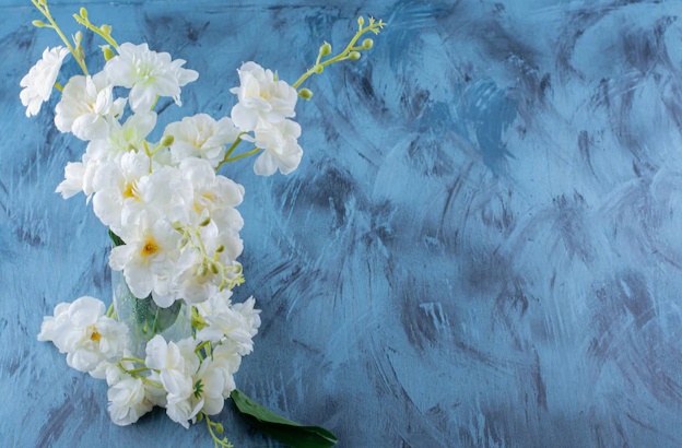 Selain Dijadikan Parfum dan Produk Kecantikan, 7 Manfaat Bunga Melati Ini Bagus untuk Atasi Penyakit