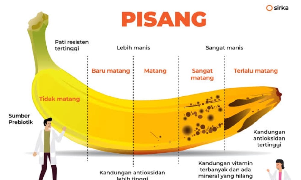 WAW! Cukup Makan Pisang Buat Badan Kamu Langsing, Cek DisinI Khasiatnya