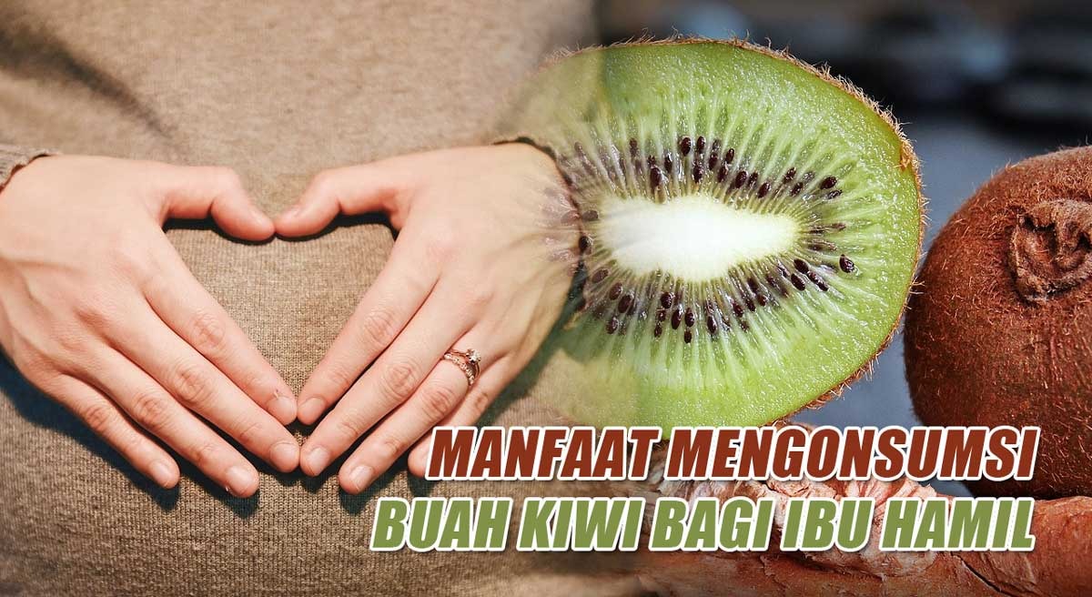 Bermanfaat Bagi Ibu Hamil, 6 Khasiat Buah Kiwi Yang Jarang Diketahui, Berbuah 1 Tahun Sekali