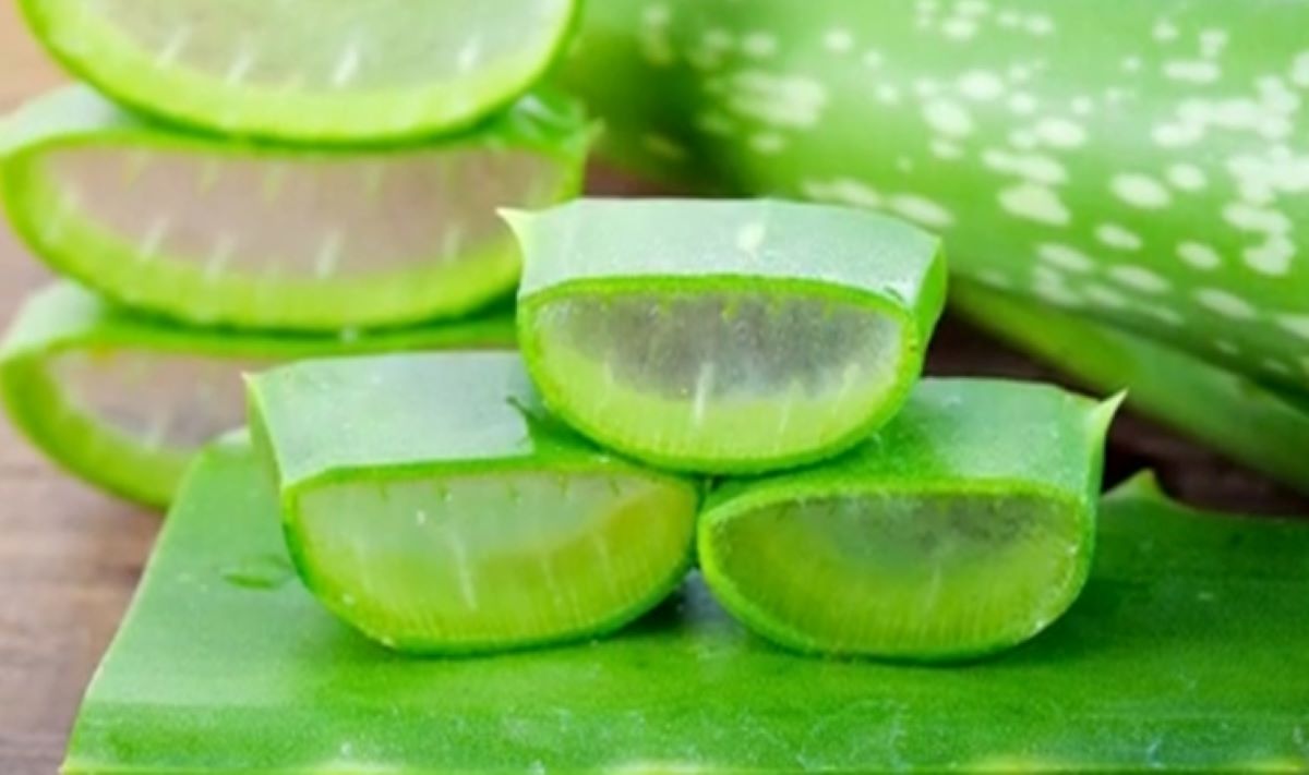 Inilah 6 Bahan Alami yang Baik Untuk Dijadikan Masker Penghilang Bekas Jerawat