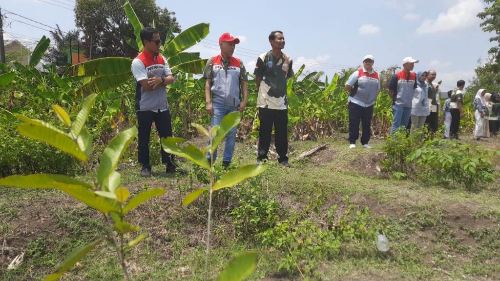 Dukung Pengurangan Jejak Emisi Karbon, PEPC JTB Inisiasi Pembentukan Hutan Sekolah