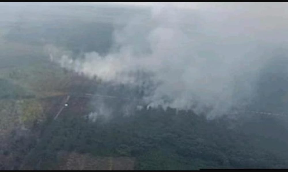 WADUH! 2 Daerah OKI Kini Masih Terbakar, Kini Helikopter Bombing Sisa 5 Unit 