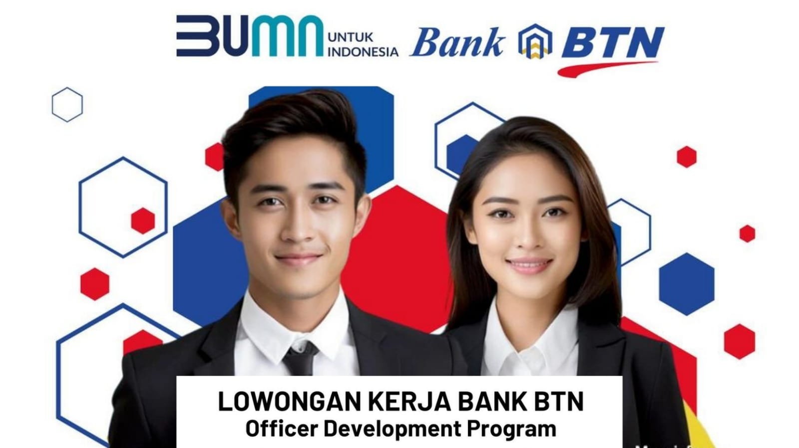 Lowongan Kerja BUMN Bank Tabungan Negara (BTN) Program Regional Leader Development (RLDP)