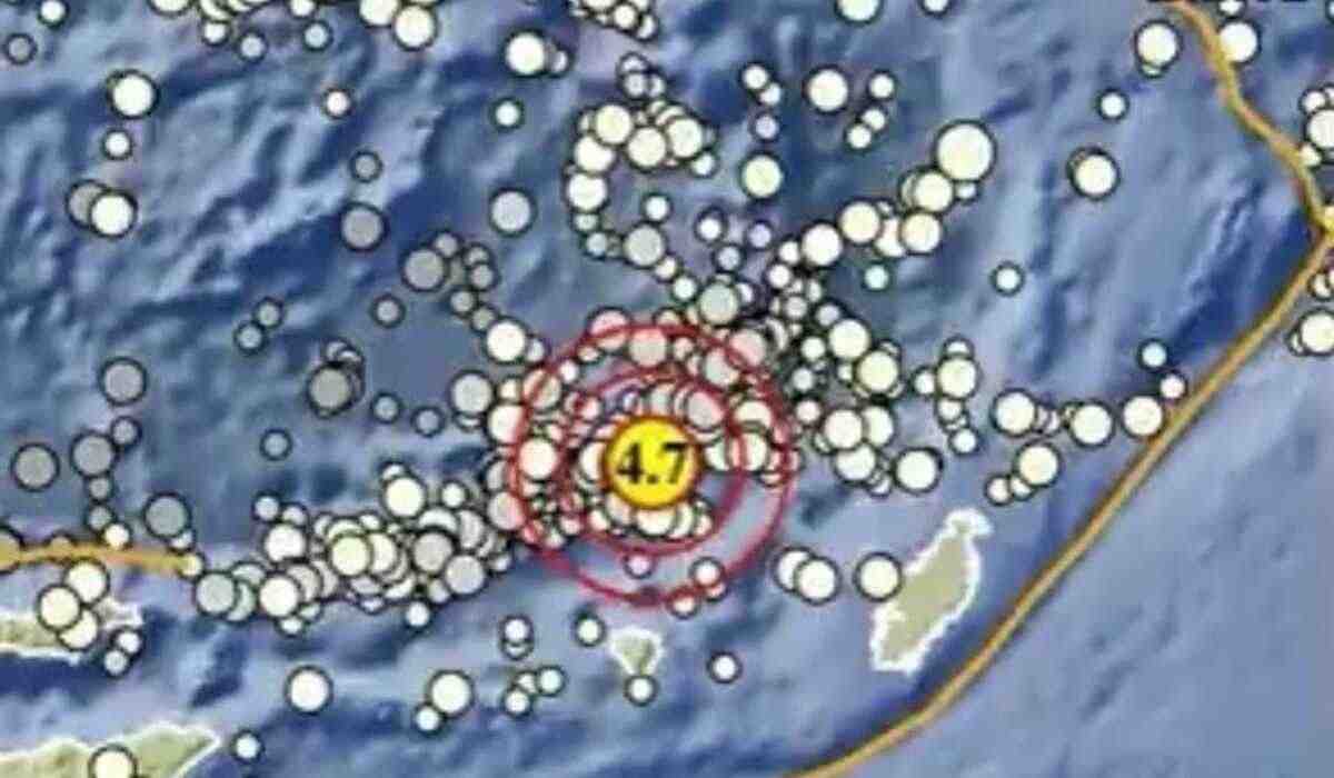 Gempa 4.7 M Pagi Ini Guncang Maluku Tenggara, Terjadi di Kedalaman 168 Km