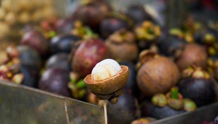 Jadi Tanaman Asli Indonesia! Inilah 7 Manfaat Buah Manggis yang Luar Biasa, Sehat Ga Perlu Mahal