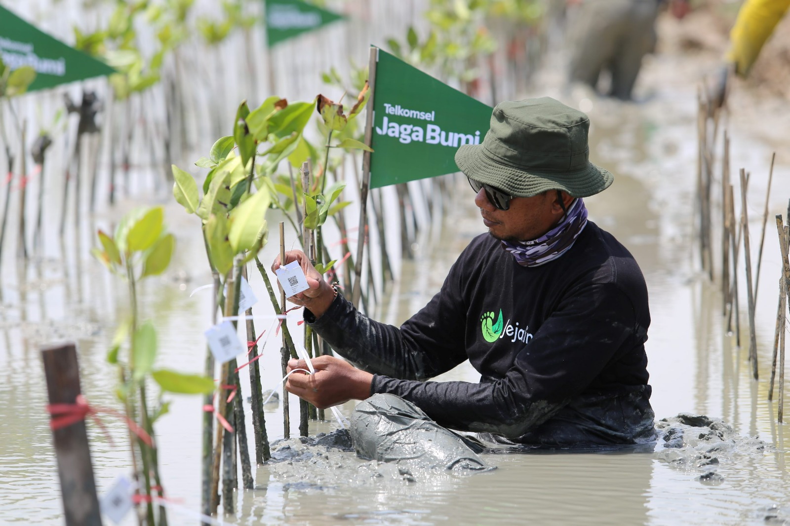 Hasil Donasi Poin Pelanggan, Telkomsel Jaga Bumi Tanam 10.600 Mangrove untuk Kurangi Emisi Karbon