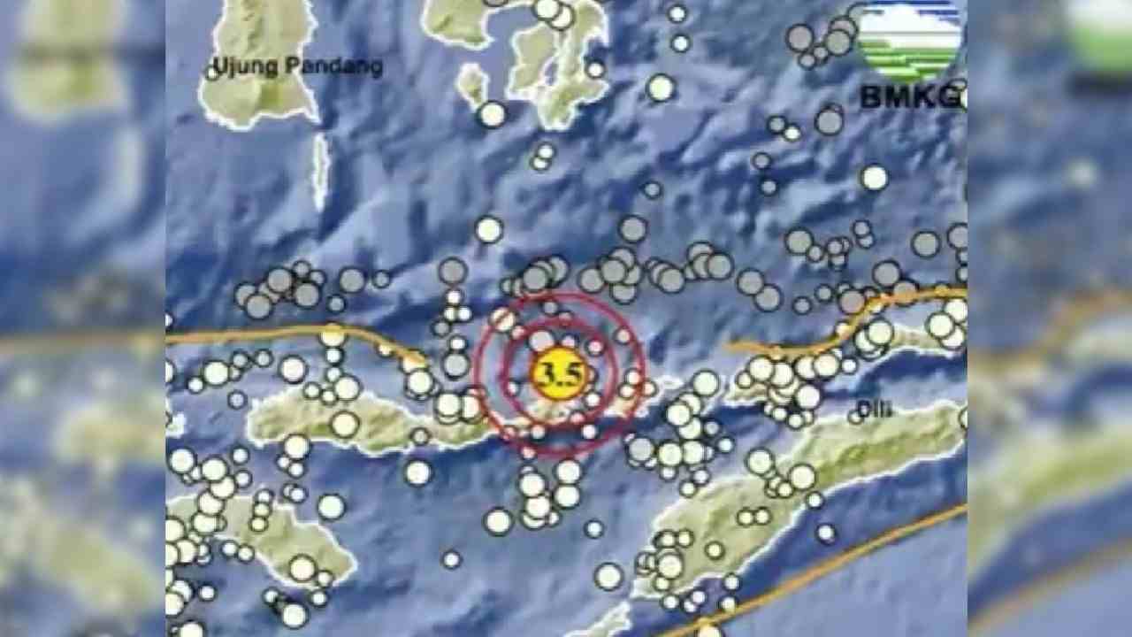 Update BMKG,  Gempa 3.5 Magnitudo Guncang Larantuka NTT, Tak Berpotensi Tsunami, Kedalamannya 160 Km