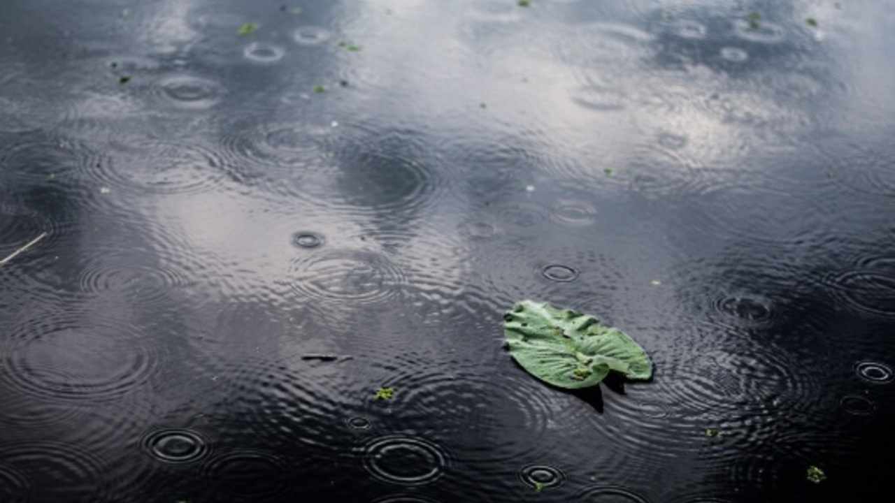 Prakiraan Cuaca BMKG 31 Desember 2025: Sumsel Mayoritas Hujan Ringan, Potensi Hujan Petir di Muba