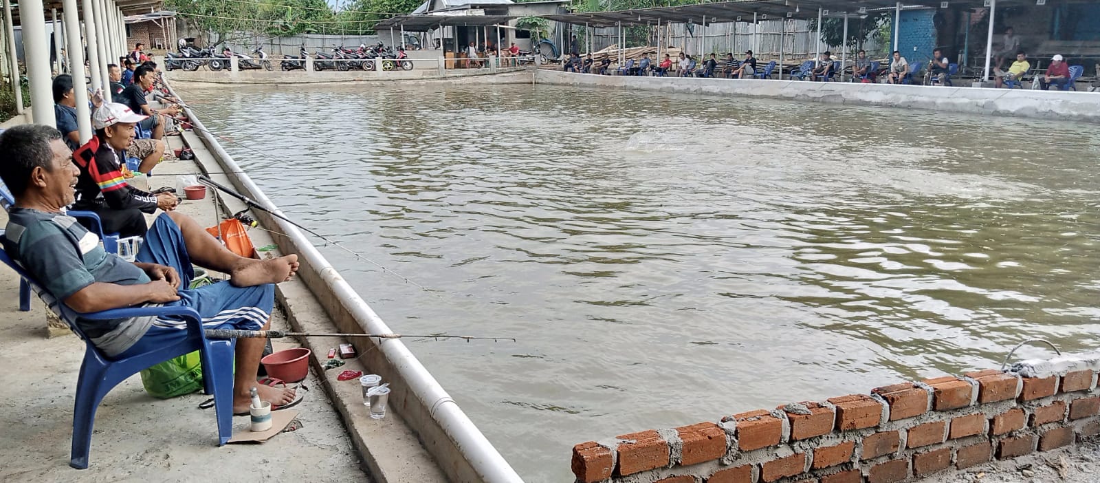 Dahsyat! Ini 7 Jenis Umpan Alamu Mancing Ikan Tawes Paling Gacor 