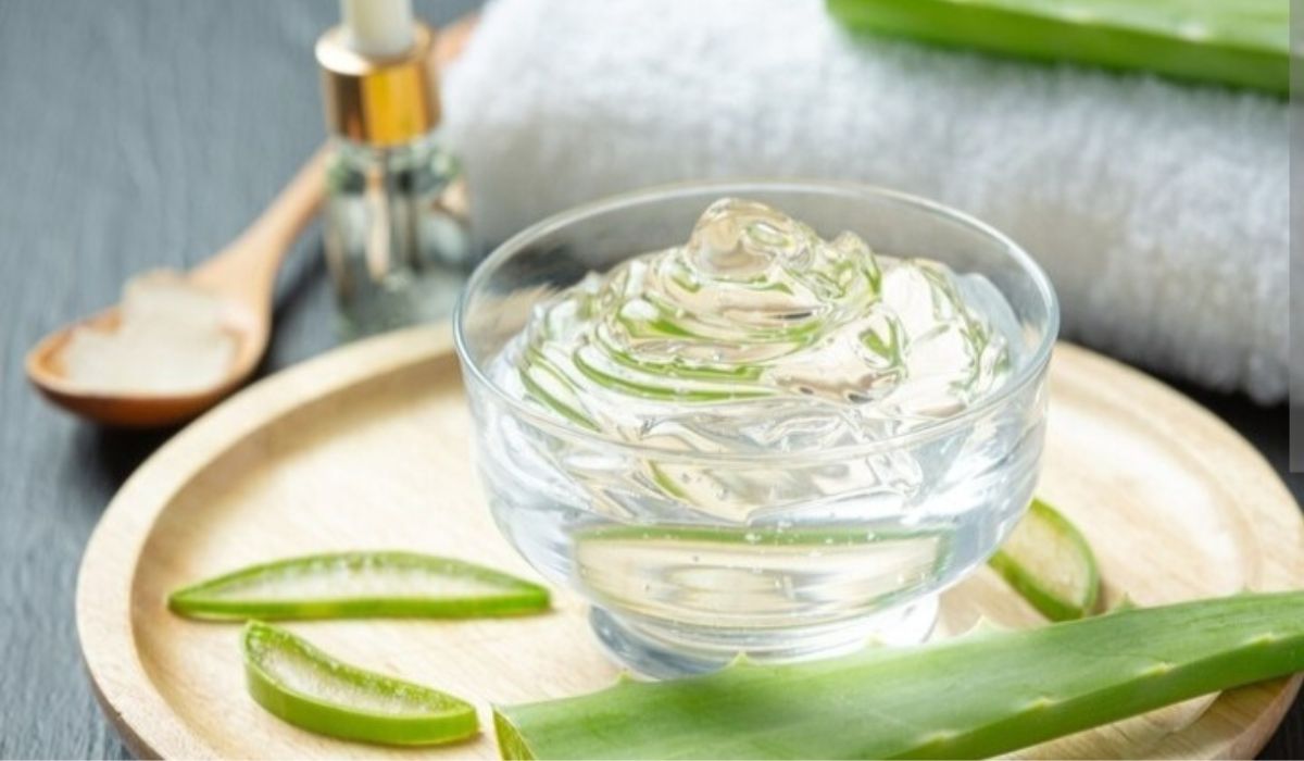 Ini 5 Kegunaan Gel Aloe Vera atau Tanaman Lidah Buaya, Dijamin Kamu Gak Nyesal