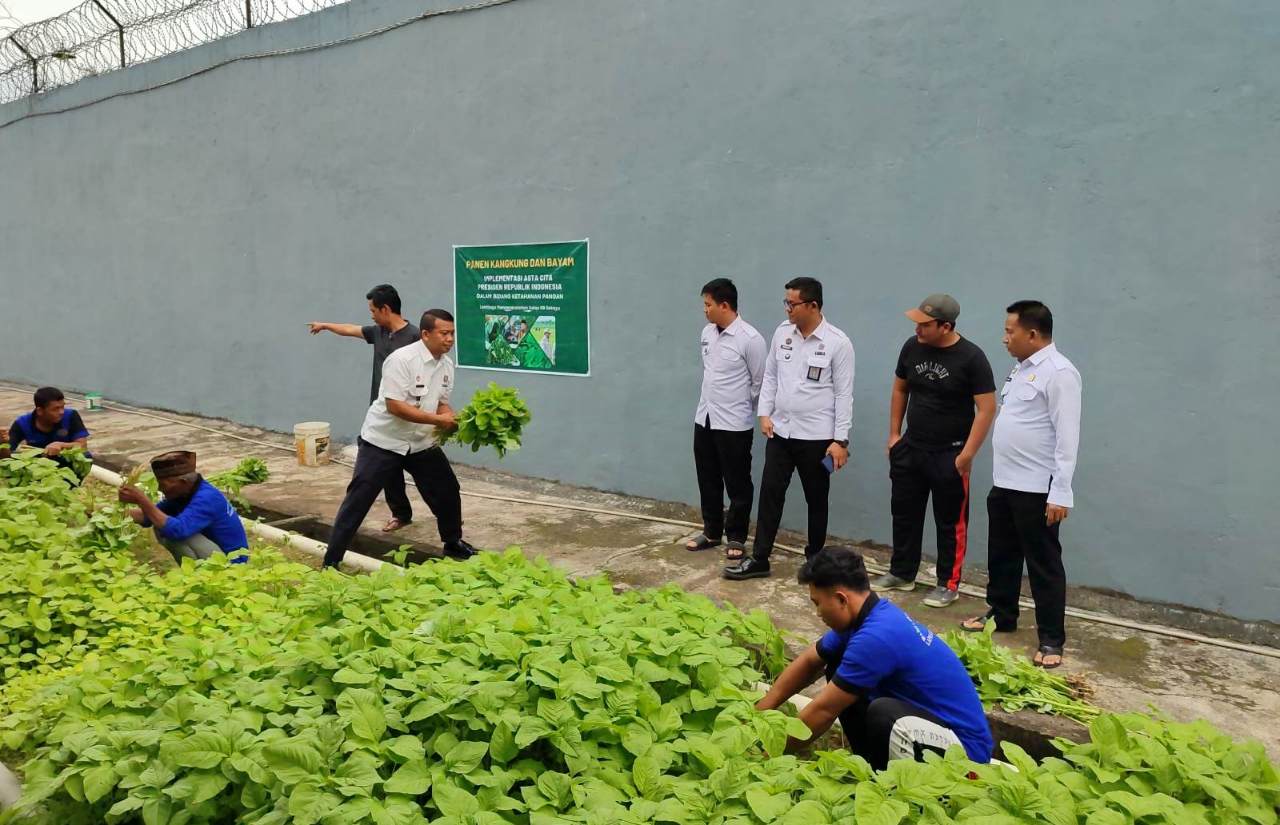 Dukung Program Asta Cita Presiden Prabowo Subianto, Lapas Sekayu Panen 2 Jenis Sayuran Ini