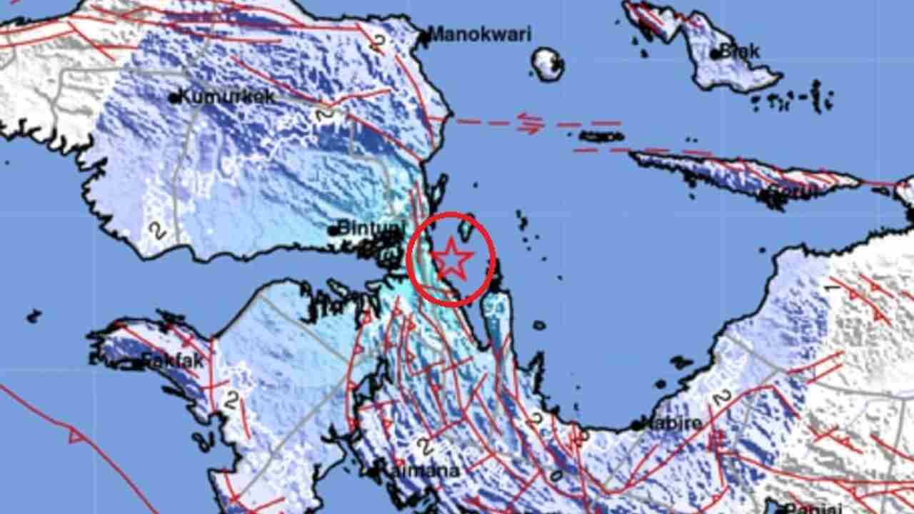 Update BMKG, Gempa 5.0 Magnitudo Guncang Teluk Wondama Papua Barat, Tak Berpotensi Tsunami    